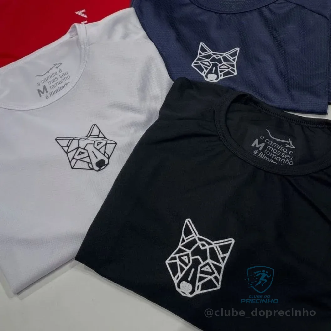 Kit 2 Camisetas Masculina Dry Alpha