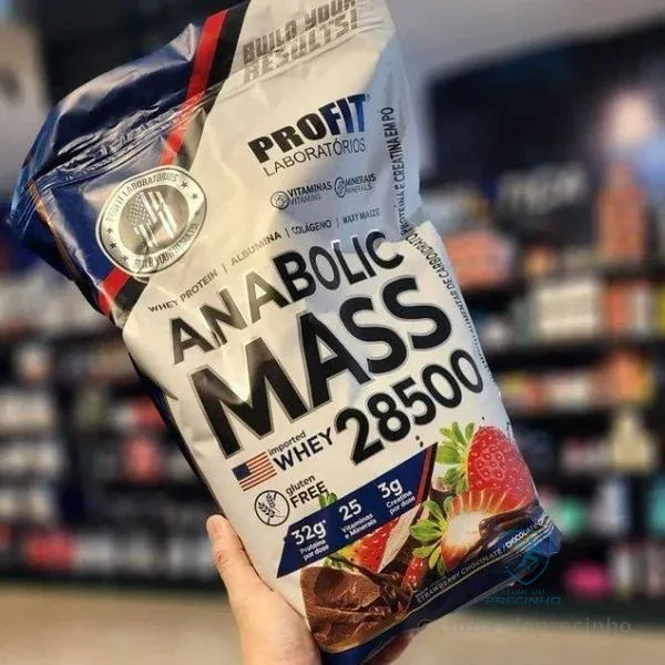 Suplemento em pó Profit Labs Anabolic Mass 28500 3kg Mercado Livre