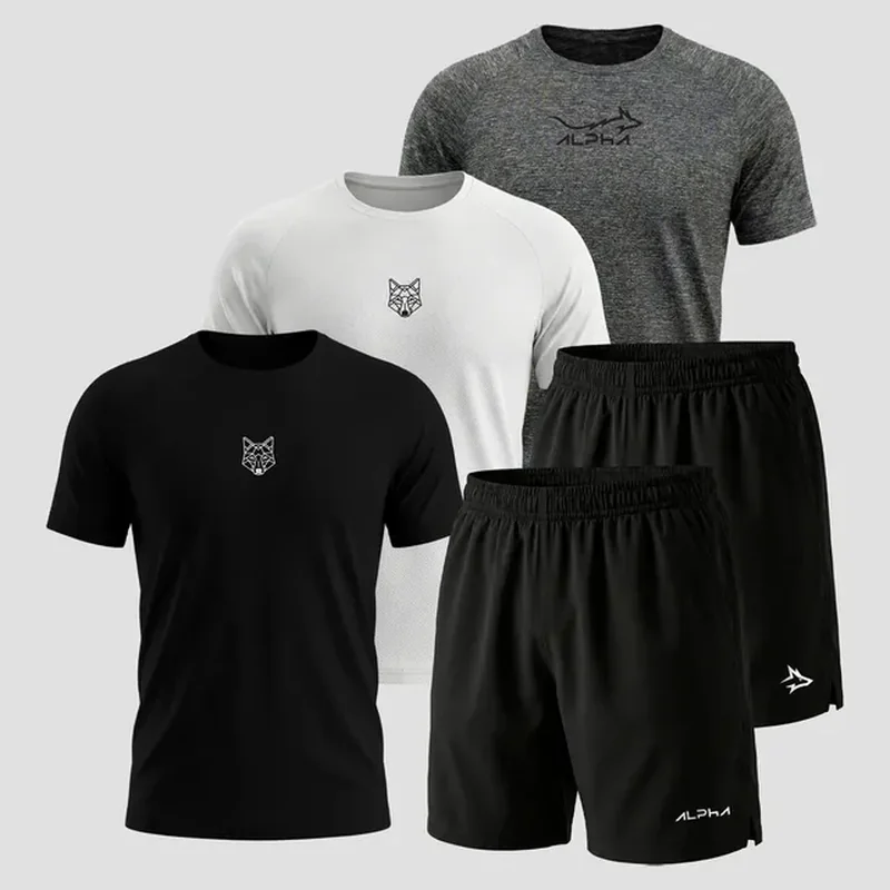 Kit 5 Peças Dry 3 Camisetas E 2 Bermudas Alpha