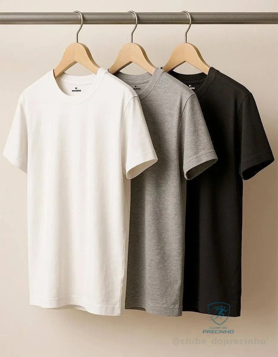 Kit 3 Camisetas Algodão Dia Dia Sandrini Básica Conforto Mercado Livre