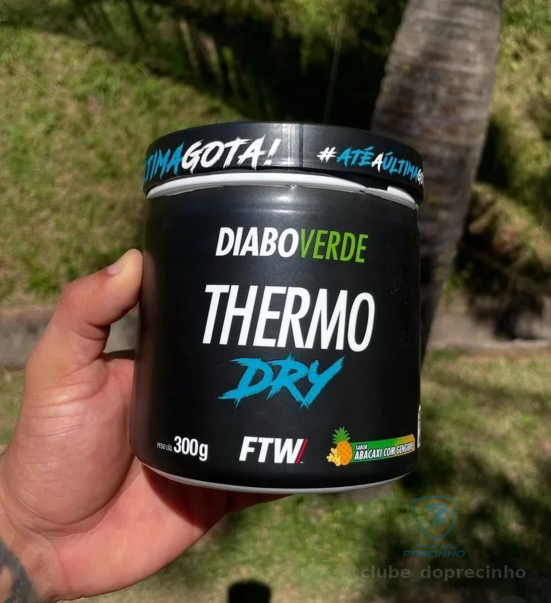 Termogênico Thermo Dry Pote 300g Sabor Abacaxi com Gengibre FTW - DIABO VERDE Mercado Livre