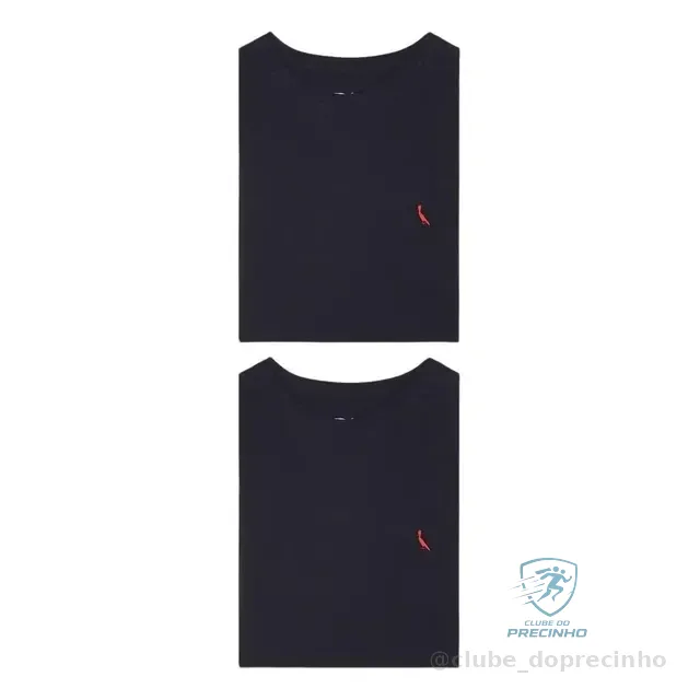 Kit 2 Camisetas Brasa Pica Pau Bordado Reserva