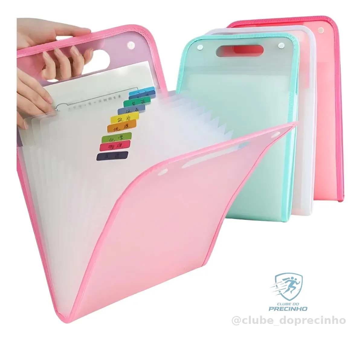 Pasta Sanfonada A4 com 12 Divisórias Capa Dura Fechamento por Elástico e Etiquetas (Rosa)