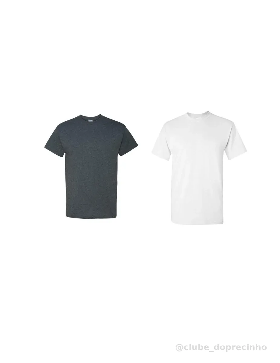 Camiseta Gildan