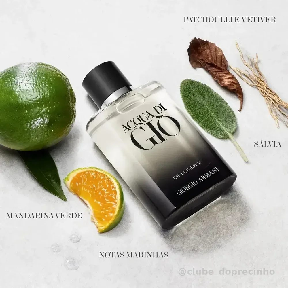 Perfume Masculino Giorgio Armani Acqua di Giò Eau de Parfum Refilável 100ml