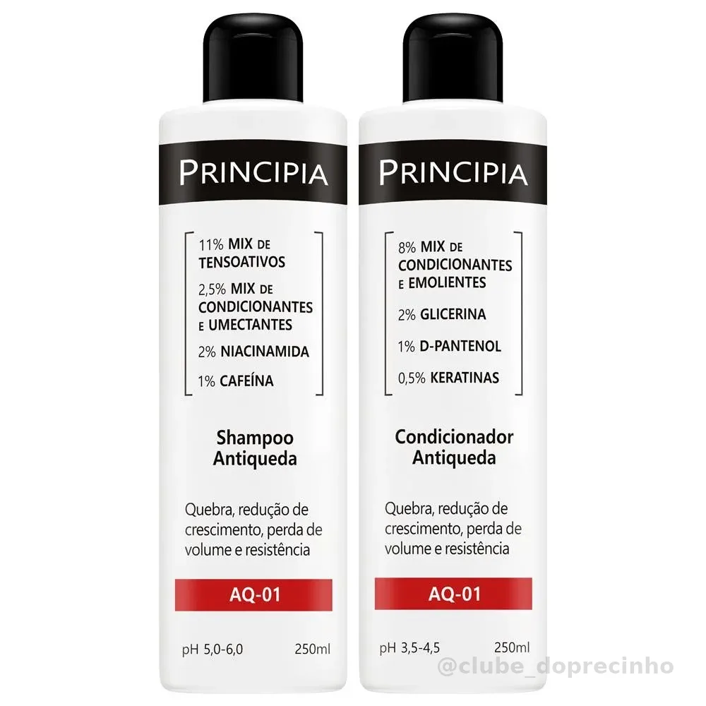 Principia Kit Shampoo e Condicionador Antiqueda AQ-01