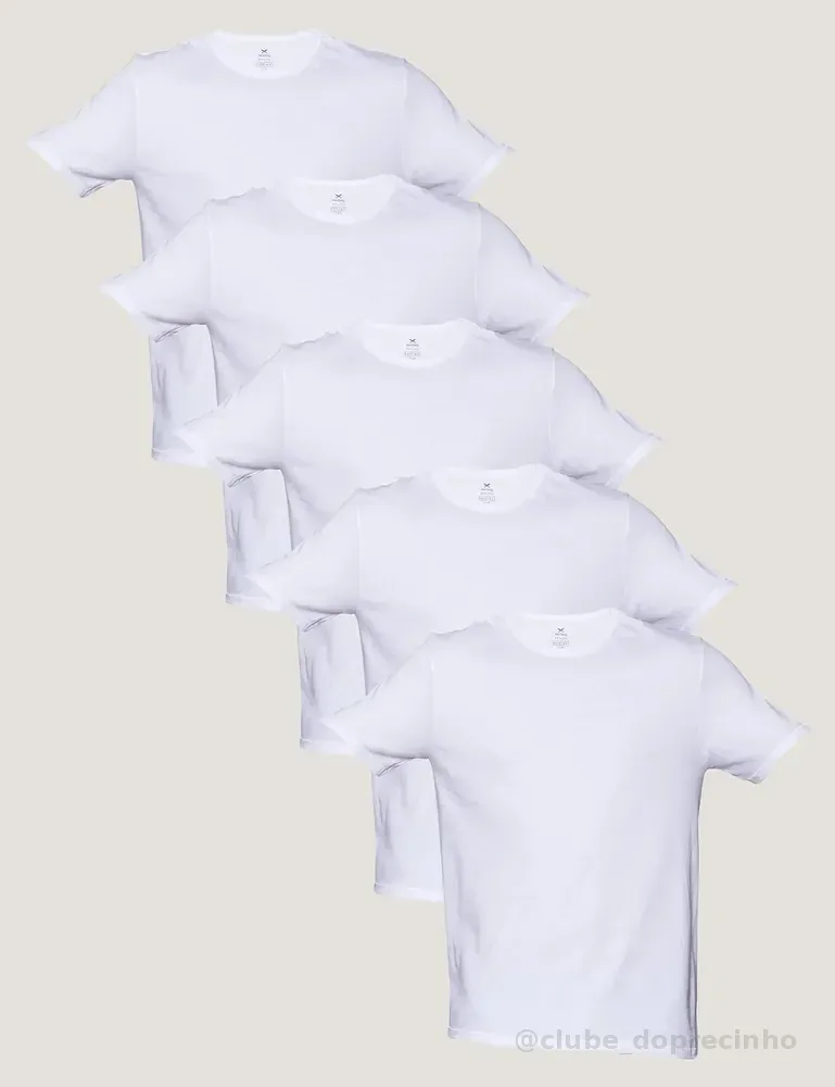 Kit 5 Camisetas Básicas Masculinas Algodão Branca Hering  Branco M Lisa