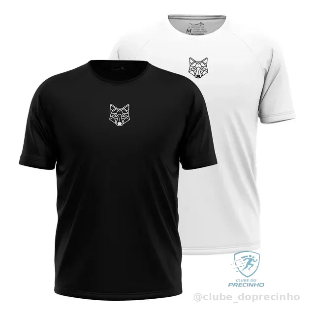 Kit 2 Camisetas Masculina Dry Alpha