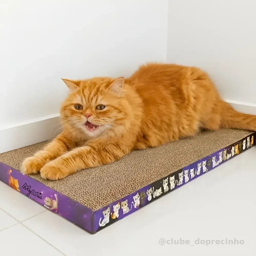 Arranhador De Gato Papelão Mymia Brinquedo Antiestresse Pet Marrom