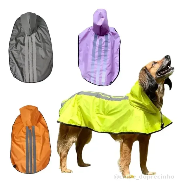 Capa De Chuva Pet Cao Emborrachada Golden Porte Grande X X G