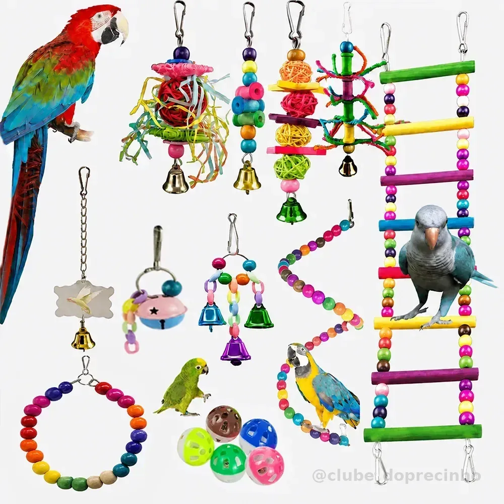 Kit 15 Brinquedo Calopsita Periquito Poleiro Escada Balanço Colorida-15pcs