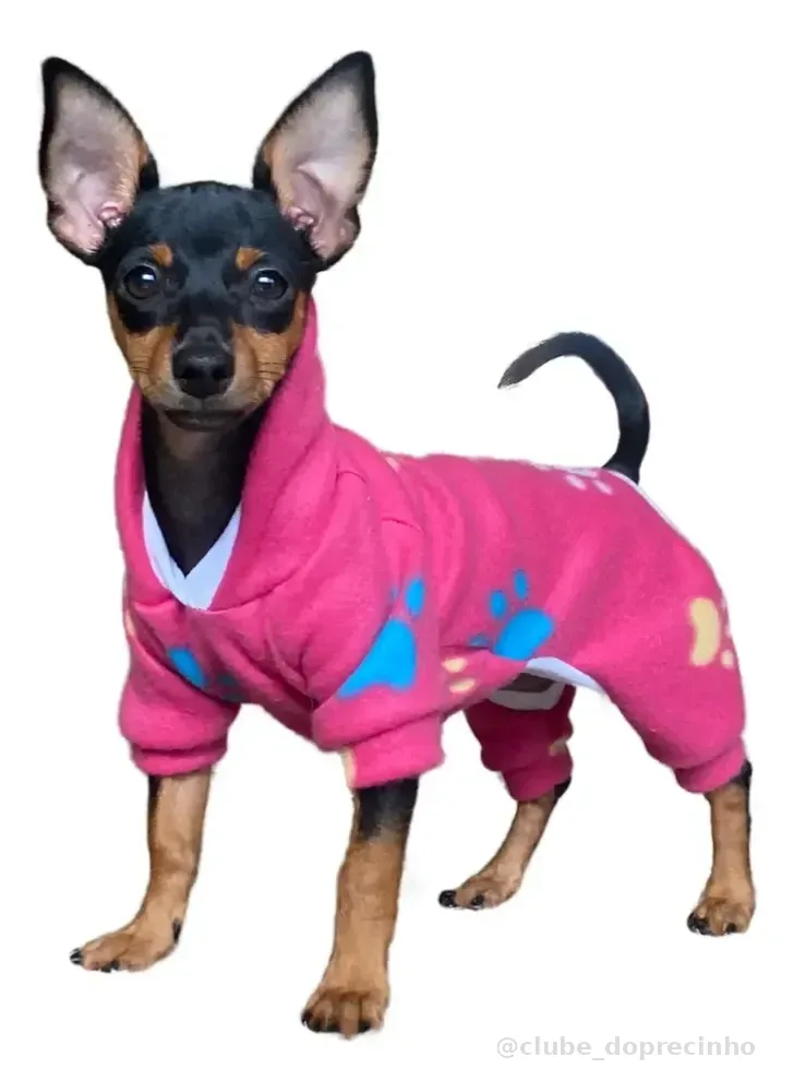 Kit 2 Roupa Pet Com Capuz Frio Roupinha Cachorro Femea Macho 2un Fêmea G