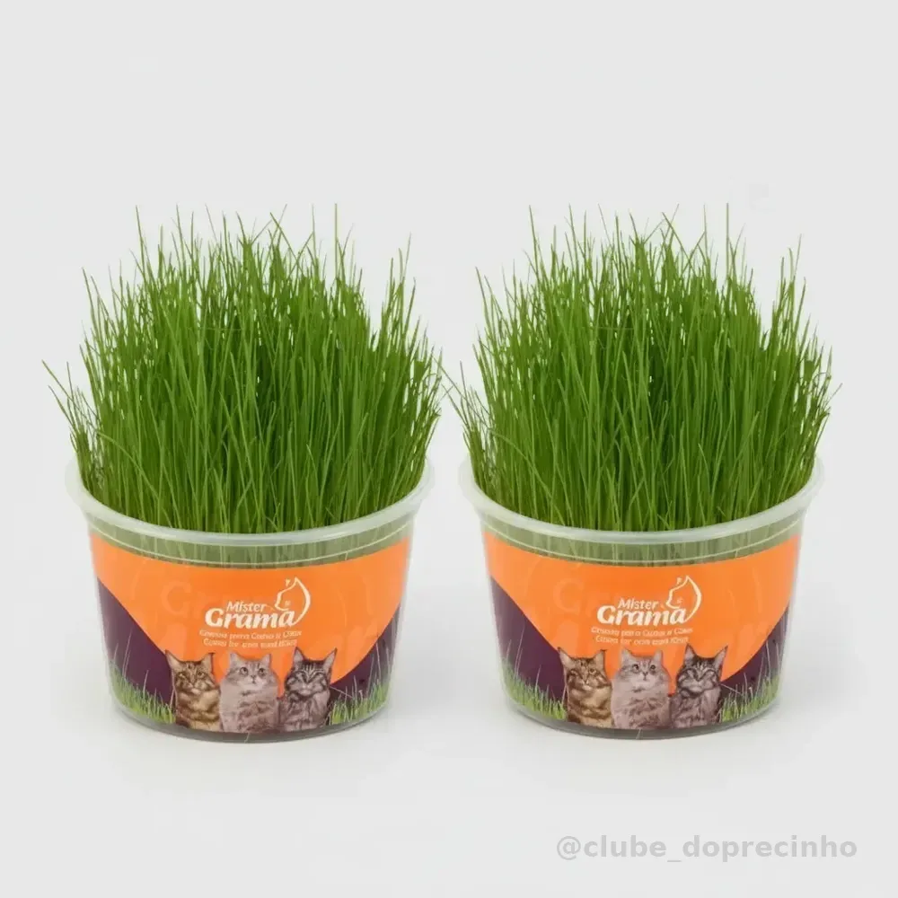 Graminha Para Gatos Mister Grama Kit 2un Auxilia Na Digestão