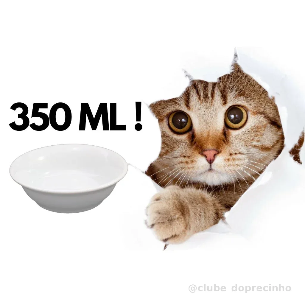 Comedouro de Porcelana 2ª Linha 350ml Para Gato/Cachorro