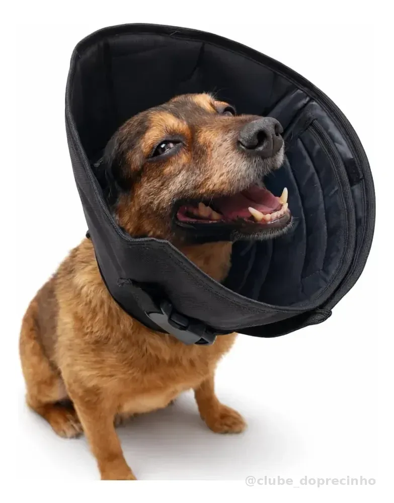 Colar Elizabetano Cães Gatos Confortável Tecido Macio 1 A 5 Preto Colar 4