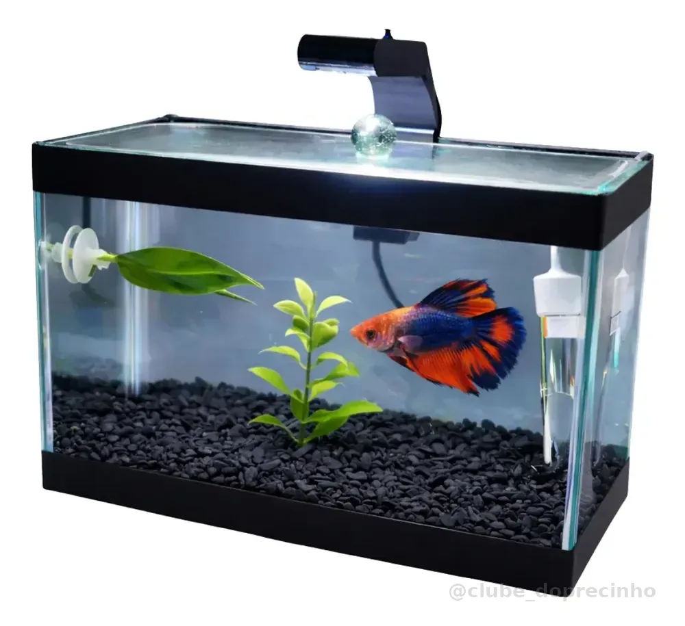 Aquário Para Betta 3l Completo - Luminária E Aquecedor Preto 127/220v