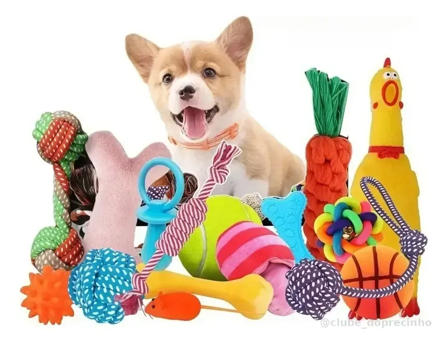 Kit 6 Brinquedos Mordedor Cachorro Filhote Anti Estress Pet