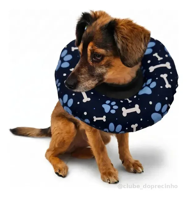 Colar Elizabetano Ajustável Macio Cães Gatos Pp Ao G