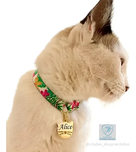 Coleira De Gato Anti Enforcamento Plaquinha Nome E Telefone