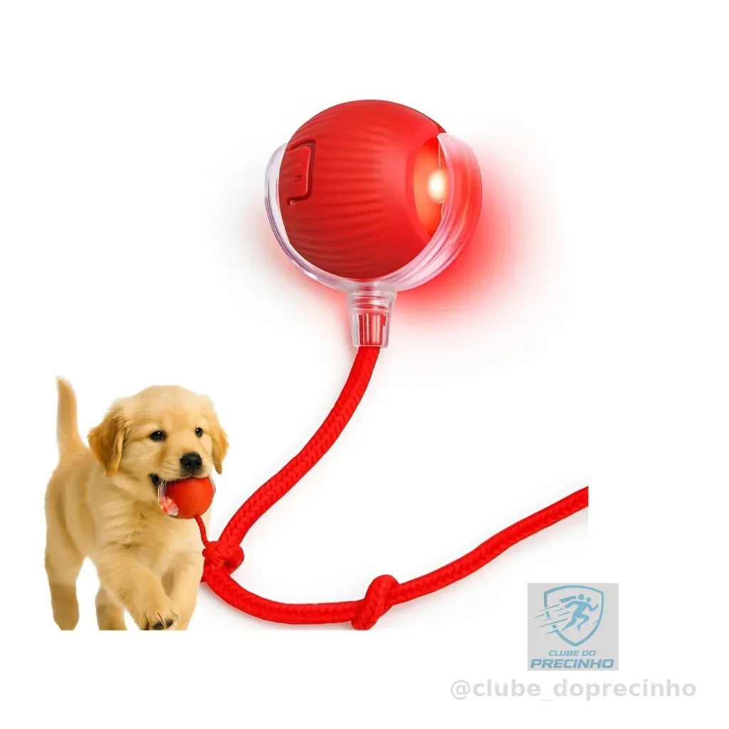 Bola Interativa Pet, Bolinha Pet, Brinquedo Interativo para Gatos, Brinquedos para Gatos, Brinquedo Gato, Bolinha Girató