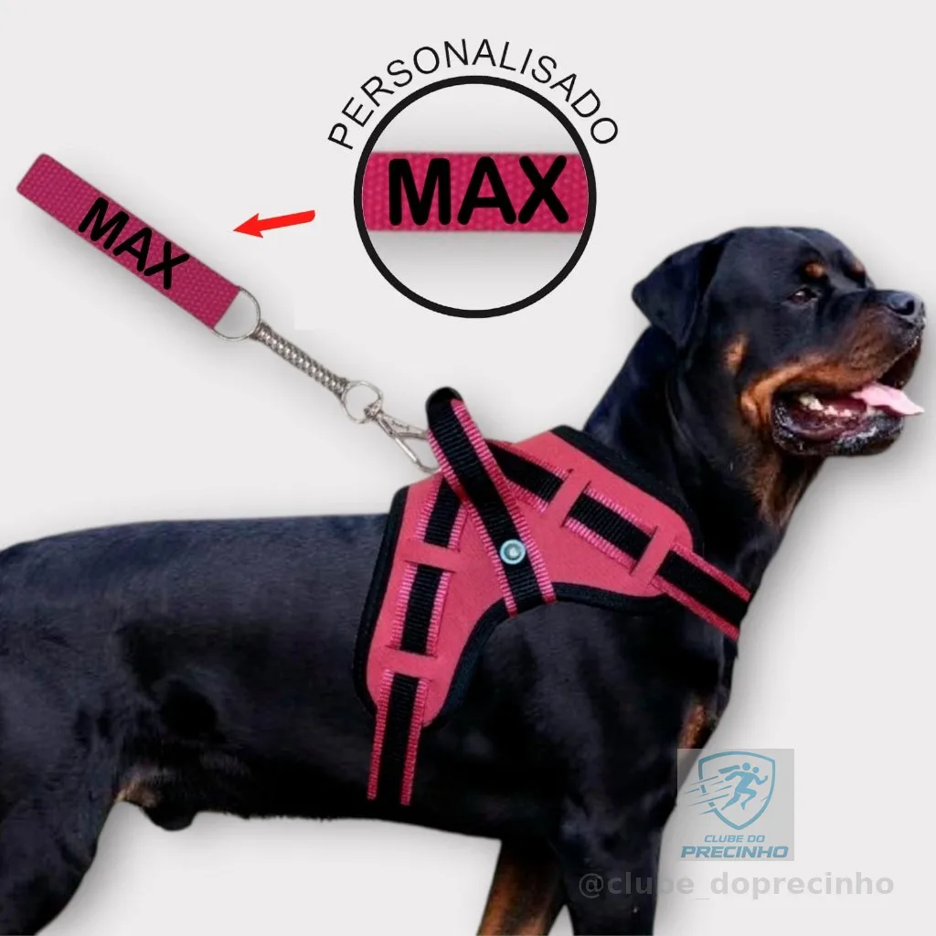 coleira e Guia para cachorro nome personalizado coleira peitoral conforto peiteira sistema amortecedor impacto regulagem
