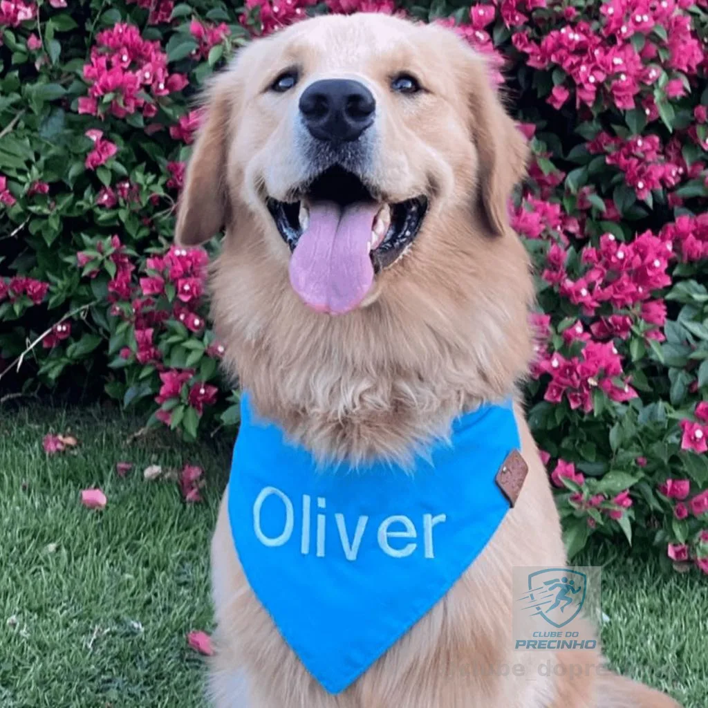 Bandana Pet lisa COM NOME BORDADO - Cães e Gatos - Varias Cores e tamanhos - Artesanal Premium