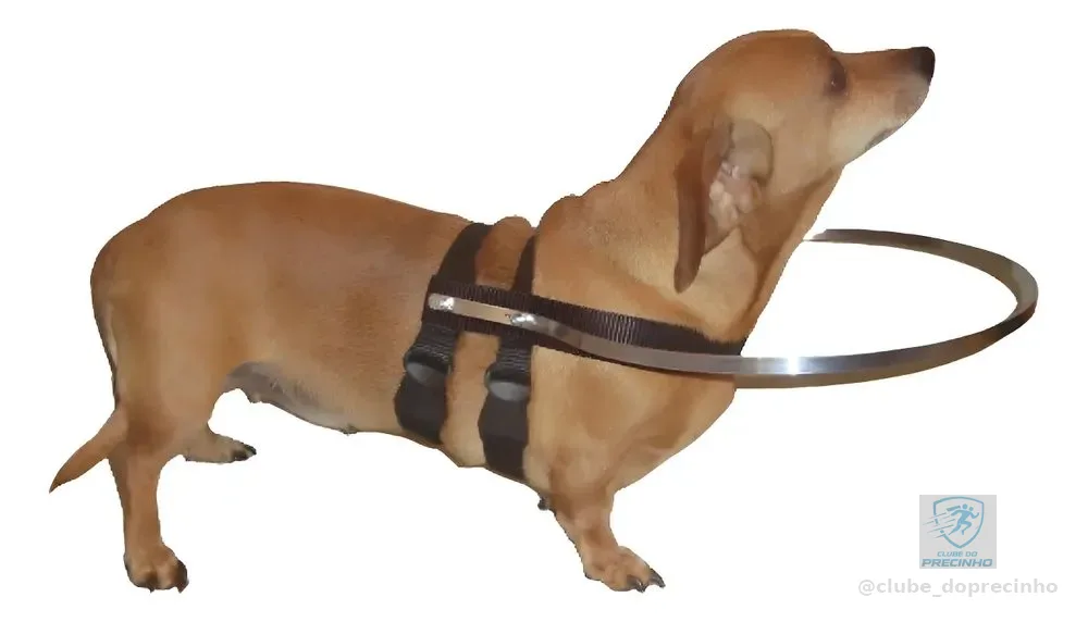 Coleira Cães Cegos De 3k A 8k- Sob Medida - Leia O Anuncio Alumíno Com Fita Preta Amigo's Car P - Para Pets Acima De 3 Kg Até 8 Kg