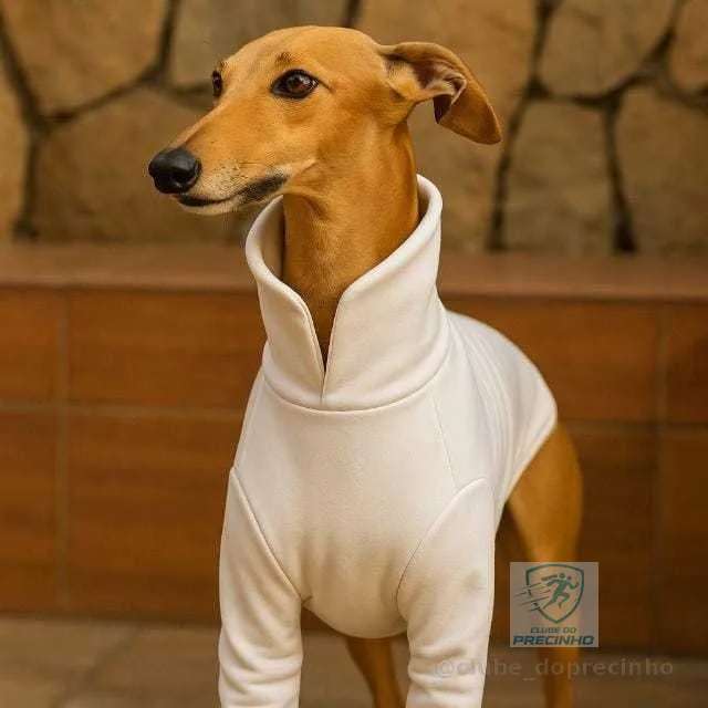 Roupa de soft para pet ,caes Galgo ,blusa basica para galgo italiano e wippet ,tamanho p ,m e g