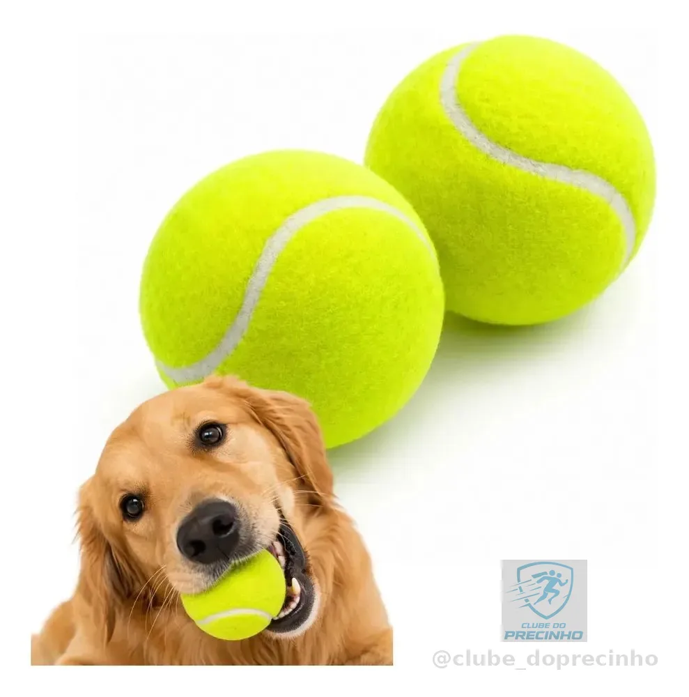 Bola De Brinquedo Para Cachorro Savana Pet 5cm
