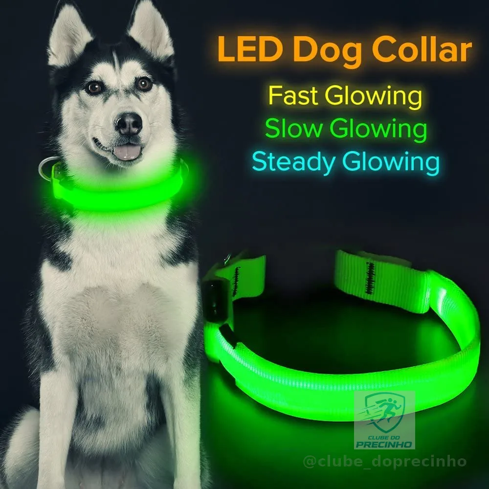 Coleira LED Brilhante Para Cães Com Luminosa Piscando Ajustável Noite De Anti-Perda Pequenos Produtos Animais De Estimação