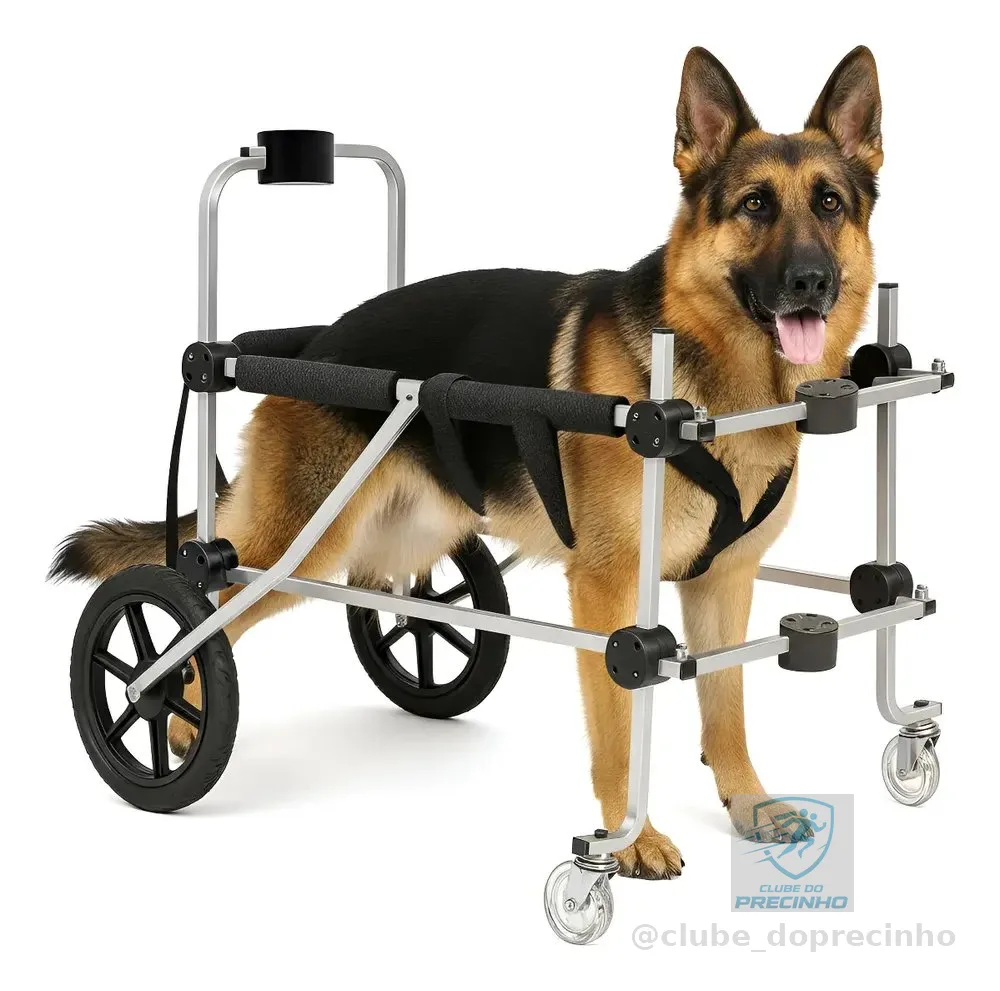 Cadeira Andador 4 Rodas Cachorro Tamanho Xg Grande Porte Cão Alumínio