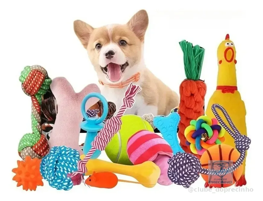Kit 6 Brinquedos Mordedor Cachorro Filhote Anti Estress Pet