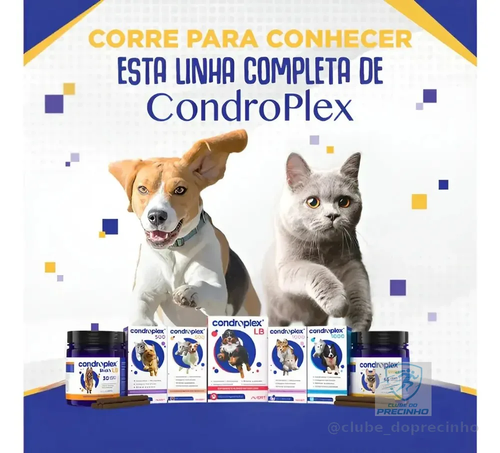 Condroplex 500 Avert 60 Cápsulas Suplemento Cães Gatos Pequeno Porte