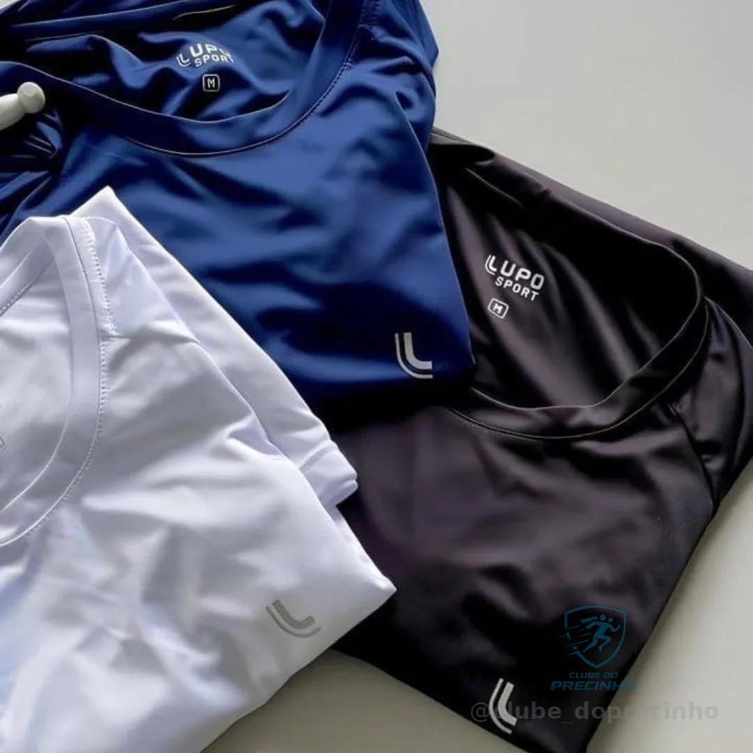 Kit 2 Camiseta Dry Fit Masculina Lupo Básica Academia