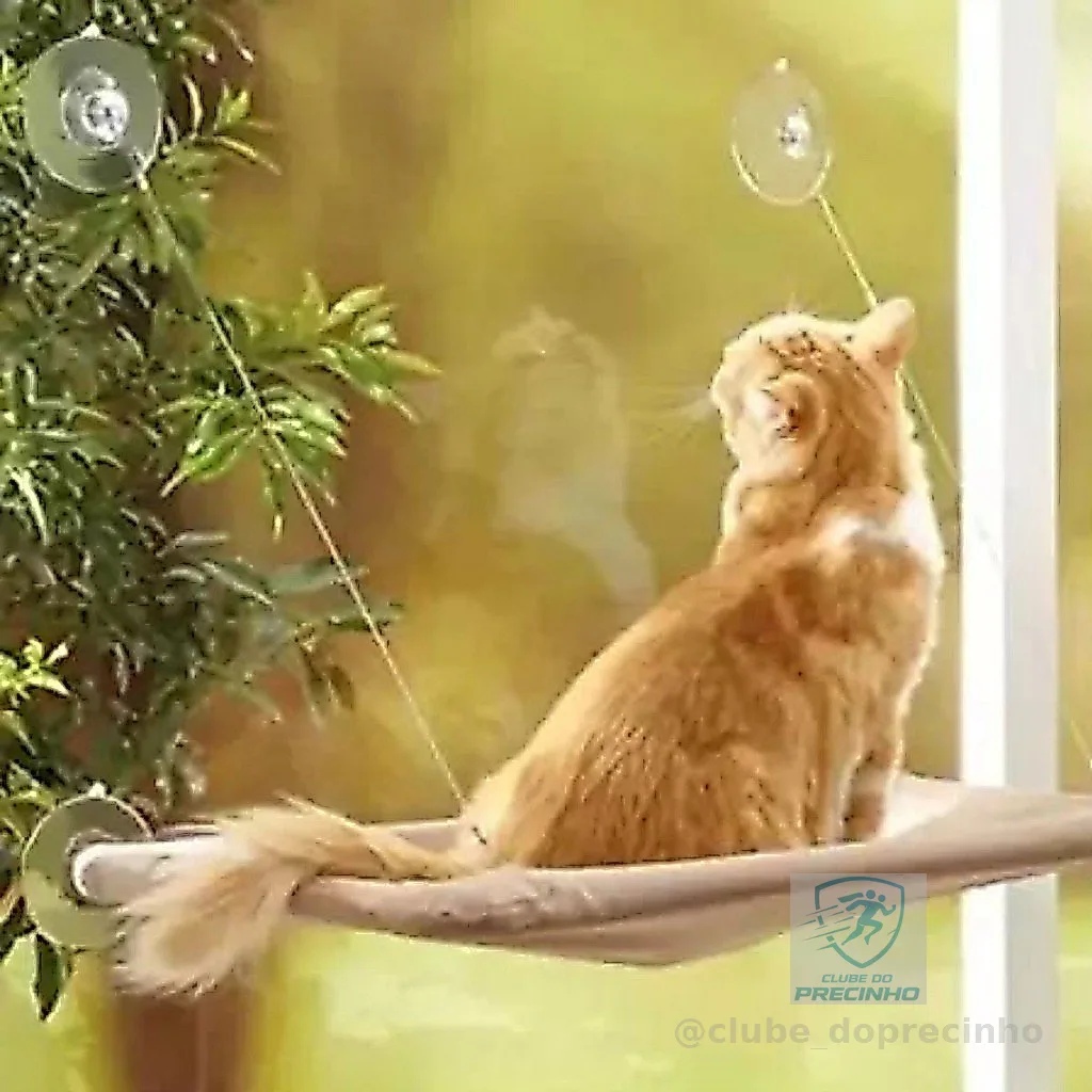 Cama Suspensa de Janela para Gato Pet Caminha Rede para Gatos com Ventosa até 20kg Grande