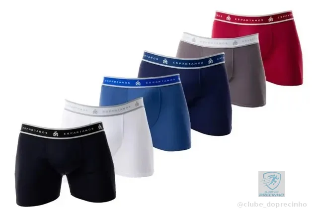 Kit Com 20 Cuecas Boxer Masculina Microfibra Original