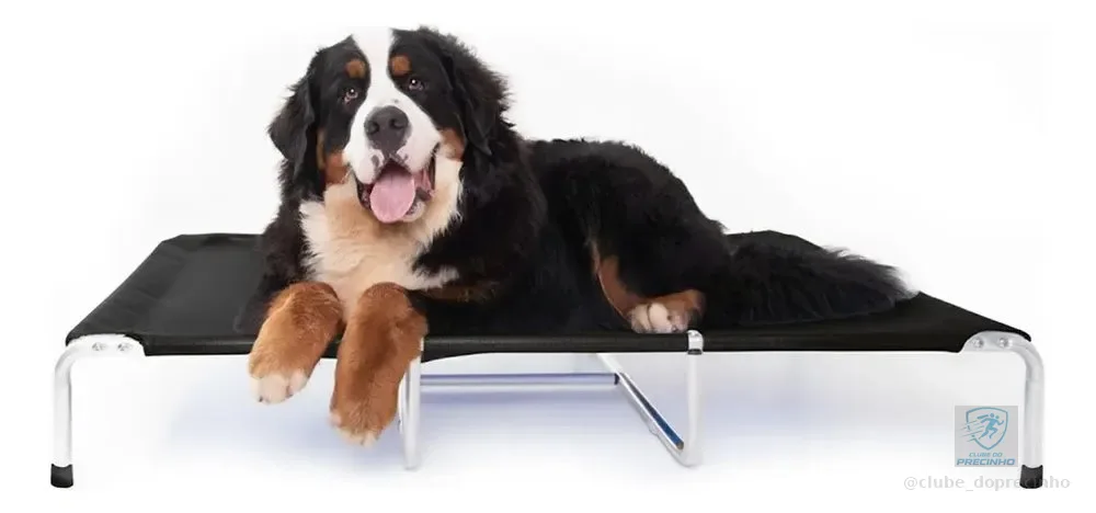 Cama Suspensa Elevada Pet Cães 120x90cm Tamanho Xl Até 90kg Cor Preta