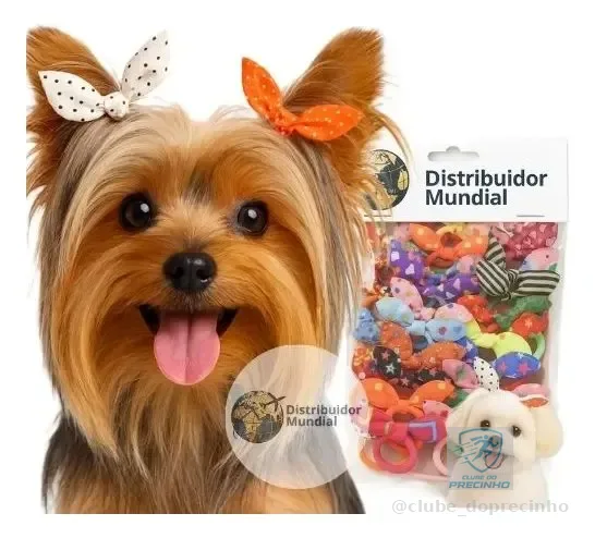 Kit 48 Elástico Laço Pet Banho E Tosa Elástico Cães Gato Colorido Xuxinha Laço Pet