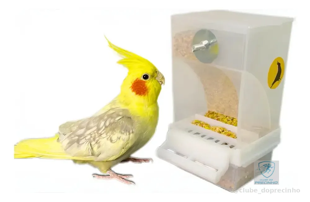 Comedouro De Sementes Para Calopsitas Automatico Fim Sujeira Branco