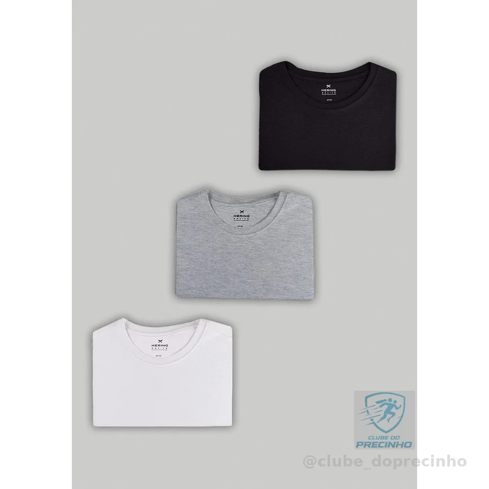 Kit Com 3 Camisetas Femininas Slim Básicas Hering