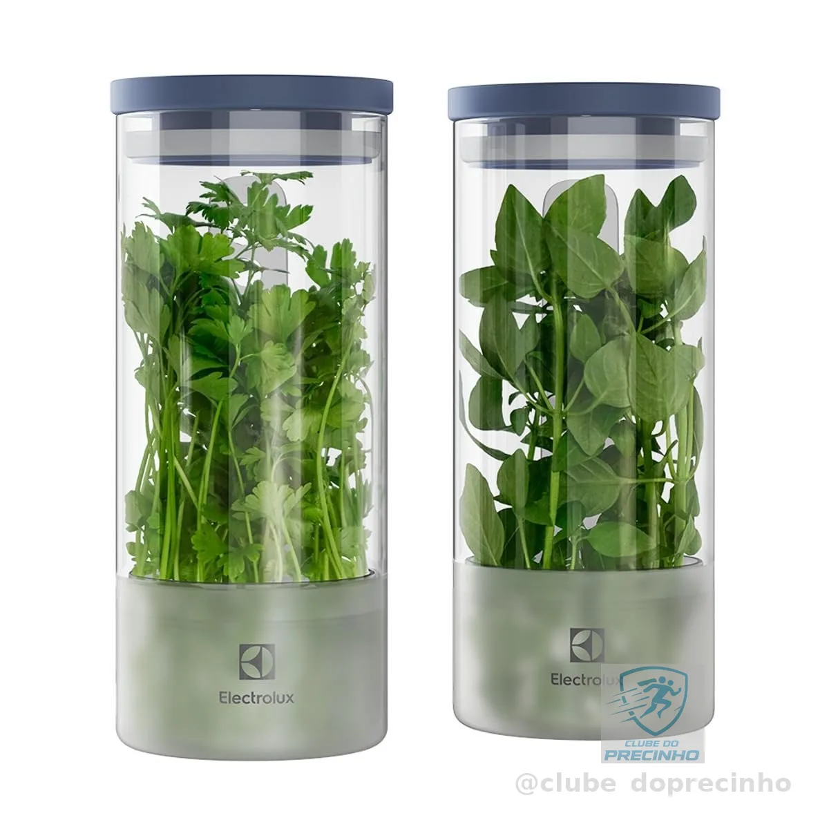 Electrolux Kit 2 Potes Herméticos de Vidro para Temperos Frescos e Hortaliças