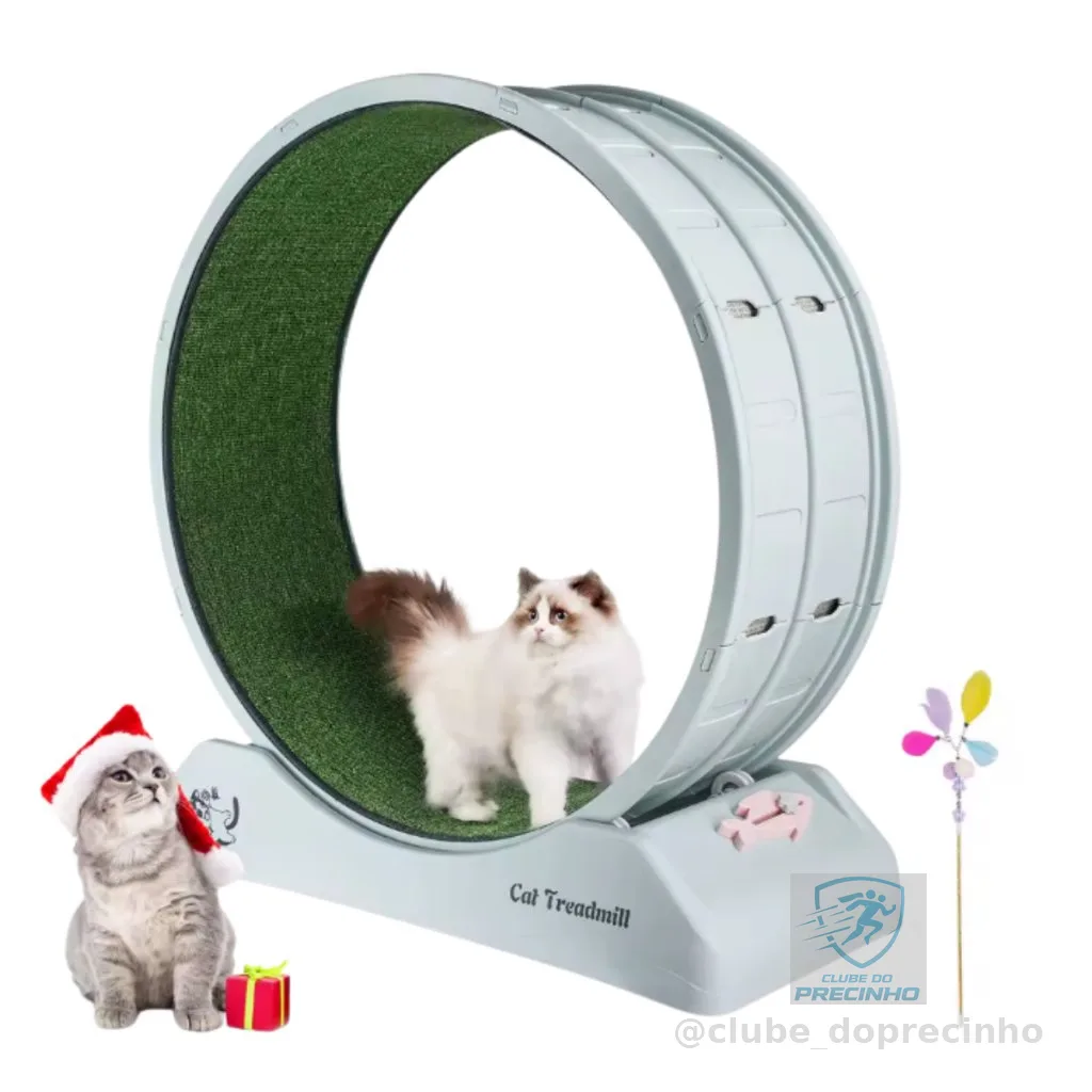 Roda Para Gato Academia Pet Esteira De Exercício Indoor Apartamento Silenciosa Queima Energia Com Varinha de brinde