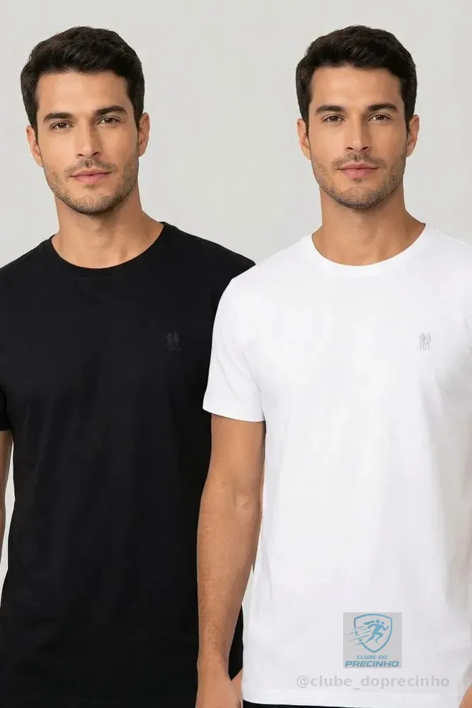 Kit 4 Camisetas Masculinas Polo Wear Sortido Sortido G Liso