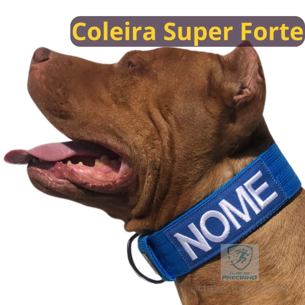 Coleira personalizada para cachorro de médio e grande porte.