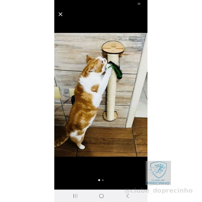 Arranhador Resistente para Gatos Ativos Parede Brinquedo Pet Poste Sisal