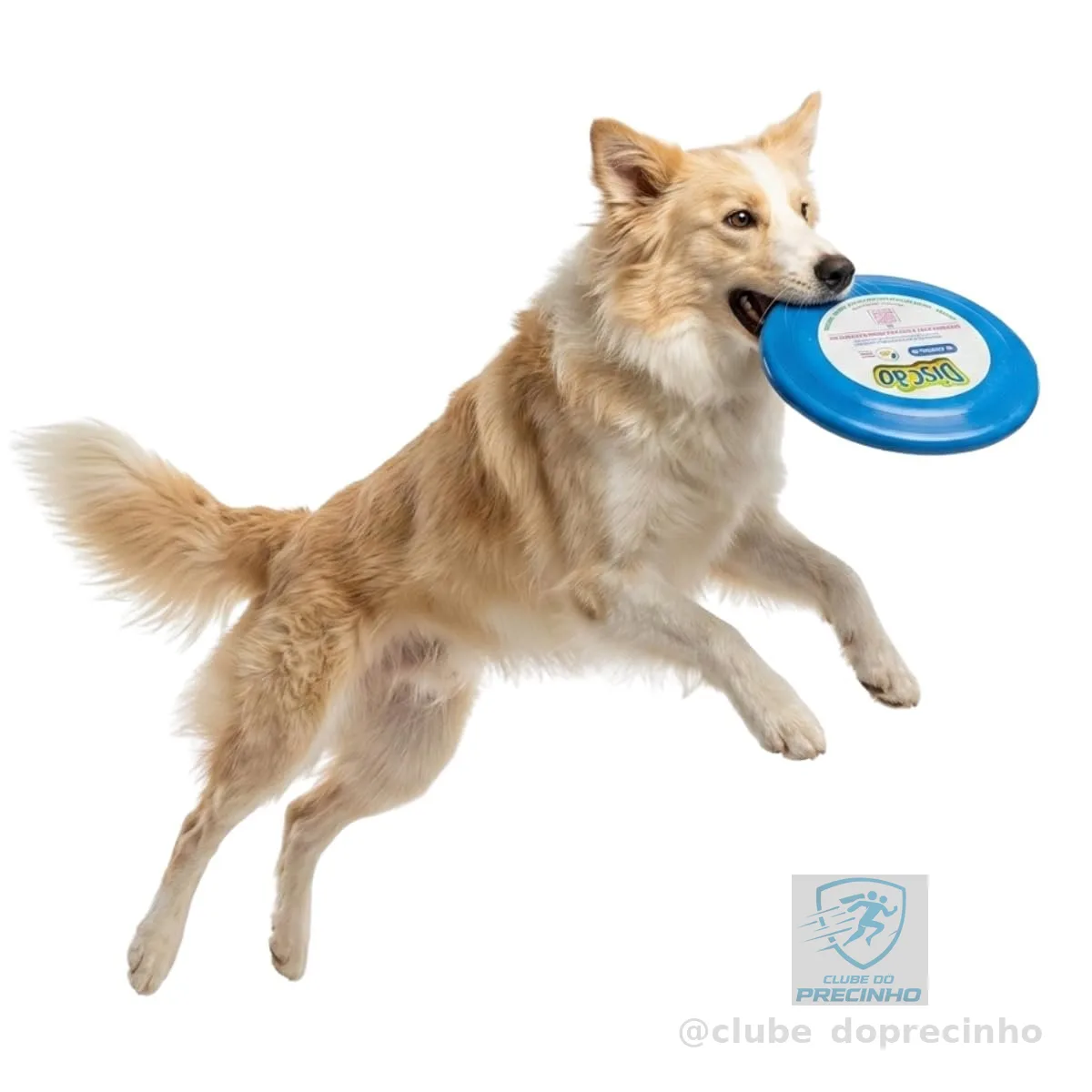 Pet Games Discão Azul - Brinquedo Interativo Frisbee Para Cães