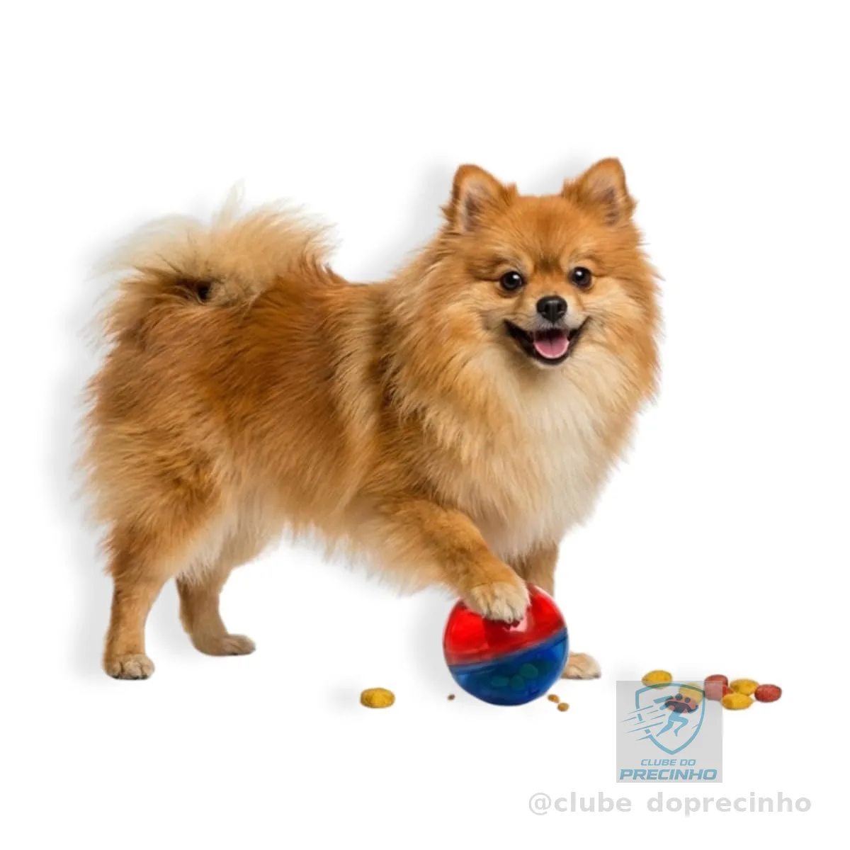 Pet Games Comedouro Brinquedo Pet Ball Mini