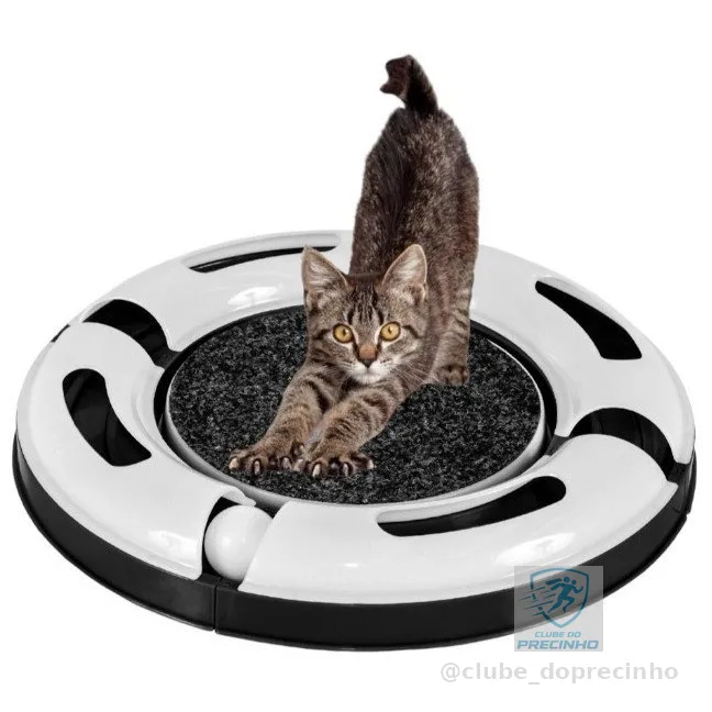 Arranhador Interativo Redondo Para Gato Relax Com Bolinha Miau Jel Plast