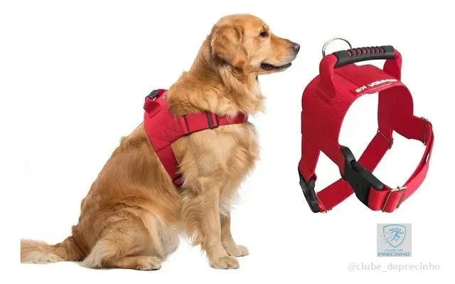 Peitoral + Guia Golden Retriever Labrador Canada K9