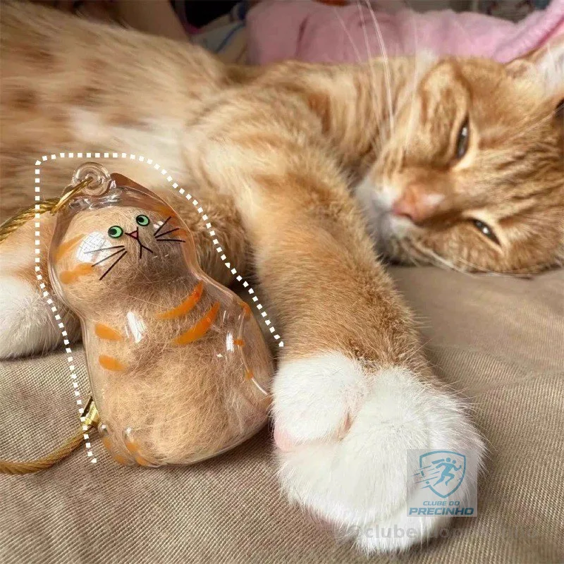O Novo Pingente Transparente De Caixa De Armazenamento De Pêlos De Gato Tem Uma Variedade De Estilos Para Escolher , Cha